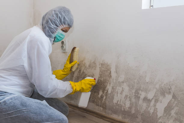 Crawl Space Mold Removal in Putney, GA